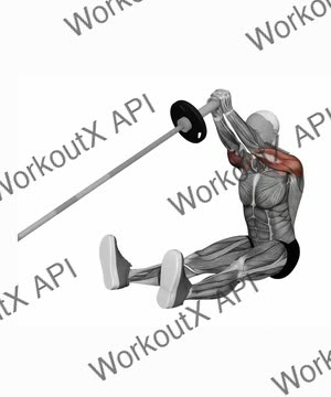 Landmine Seated Overhead Press exercise demonstration