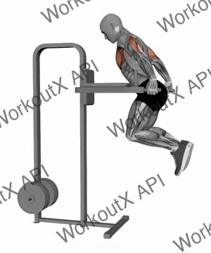 Chest Dip Bodyweight exercise demonstration