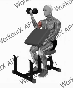 Dumbbell Preacher Curl exercise demonstration