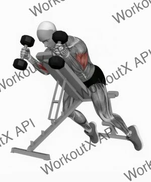 Dumbbell Prone Incline Hammer Curl exercise demonstration