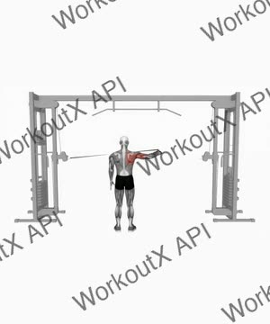 Cable Rear Drive exercise demonstration