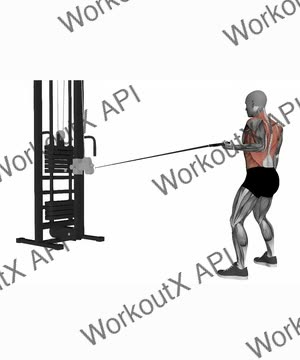 Single Arm Cable Row Left exercise demonstration