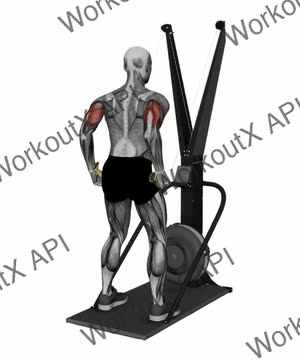 Ski Ergometer Cross Country Ski Triceps Extension Pull exercise demonstration