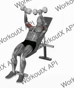 Dumbbell Incline Twisted Fly exercise demonstration