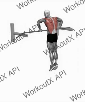 Bodyweight Muscle-Up exercise demonstration