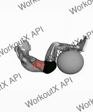 Crunch (Legs on Stability Ball) exercise demonstration