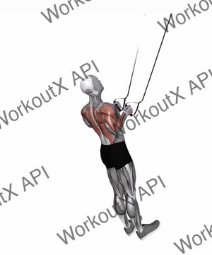 Suspension Trainer With Grips High Row exercise demonstration