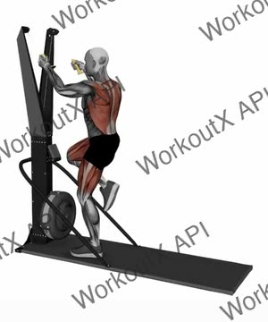 Ski Ergometer Cross Country Ski Reverse Lunge Pull exercise demonstration