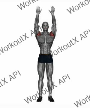 Military Press Bodyweight exercise demonstration