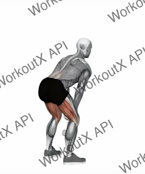 Dumbbell Swing exercise demonstration