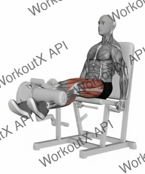 Lever Leg Extension exercise demonstration