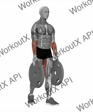 Plate Staggered Pinch Grip Deadlift exercise demonstration