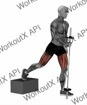 Assisted Bulgarian Split Squat exercise demonstration