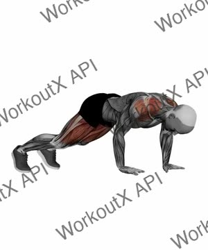 Pike Individual Alternating Arm Reaches exercise demonstration