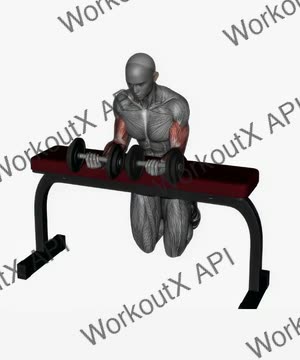 Wrist Curl Dumbbell exercise demonstration