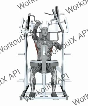 Hammer Strength Plate Loaded High Row Single Arm exercise demonstration
