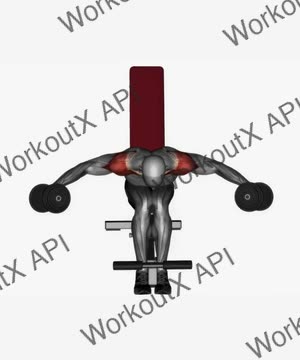 Seated Dumbbell Rear Delt Fly exercise demonstration
