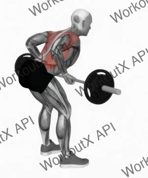 Barbell Underhand Bent Over Row exercise demonstration