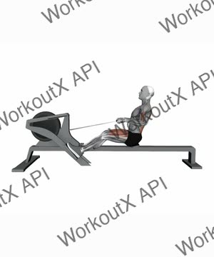 Gym Rowing Machine Fast Speed exercise demonstration