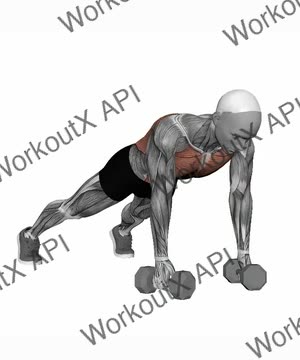 Pushup to Renegade Row exercise demonstration