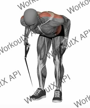 Bent Over Row Resistance Band exercise demonstration