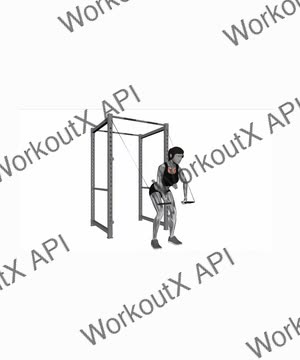 Band High Fly exercise demonstration