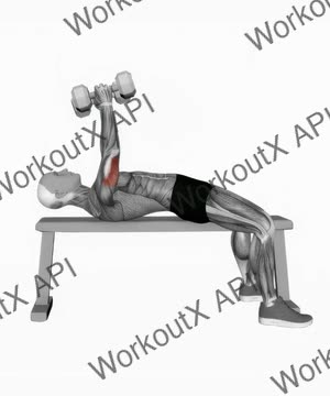 Dumbbell Lying Triceps Extension exercise demonstration