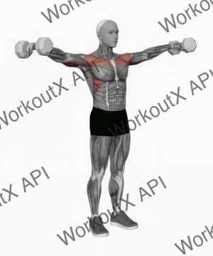 Dumbbell Lateral to Front Raise exercise demonstration