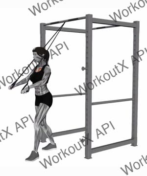 Band Low Chest Press exercise demonstration