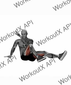 Seated Twist exercise demonstration