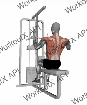 Lat Pull Down Normal Grip exercise demonstration