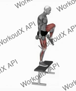 Dumbbell Step-Up With Knee Raise exercise demonstration