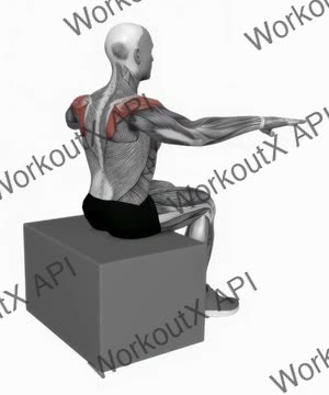 Back Squeeze exercise demonstration