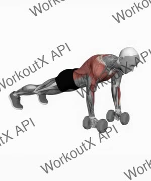 Dumbbell Renegade Row exercise demonstration