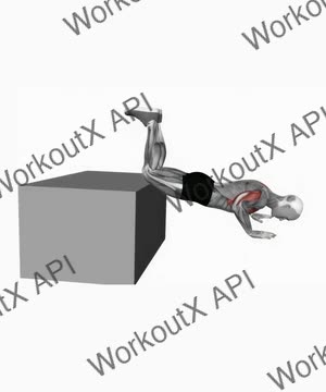 Decline Kneeling Push Up on Box exercise demonstration