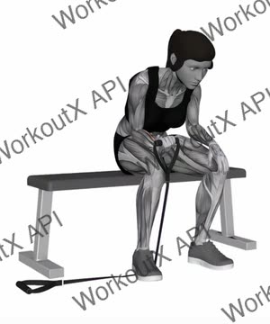 Band Wrist Curl exercise demonstration