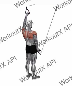 Suspension Trainer With Grips Split Fly exercise demonstration