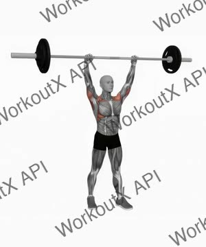 Barbell Standing Military Press exercise demonstration