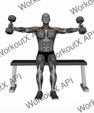 Seated Dumbbell Neutral Grip Side Raises exercise demonstration