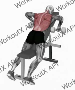 Dumbbell Incline Row exercise demonstration