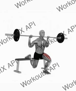Barbell Single Leg Split Squat exercise demonstration