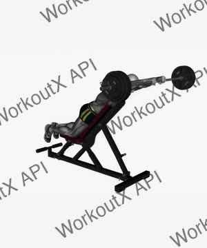 Prone Front Raises Barbell on Bench exercise demonstration