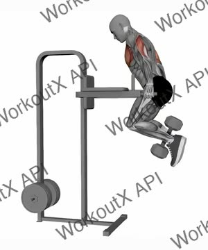 Chest Dip Weighted exercise demonstration