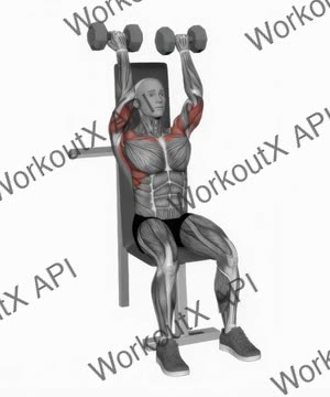 Dumbbell Seated Reverse Close Grip Press exercise demonstration