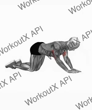 Bodyweight Kneeling Triceps Extension exercise demonstration