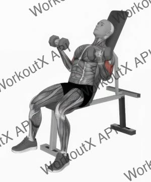 Dumbbell Incline Simultaneous Curl exercise demonstration