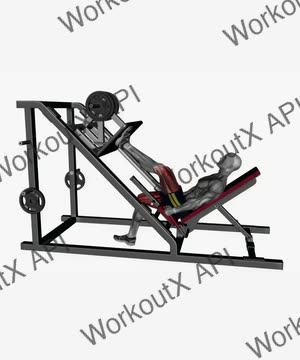 Single Leg Incline 45 Degree Leg Press Machine exercise demonstration
