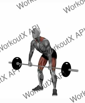 Barbell Jump Shrug exercise demonstration