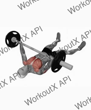 Barbell Floor Chest Press exercise demonstration