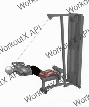 Cable Assisted Inverse Leg Curl exercise demonstration